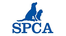 SPCA